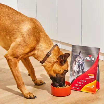 Product Nulo MedalSeries Small Breed All Life Stages Dry Dog Food - Salmon