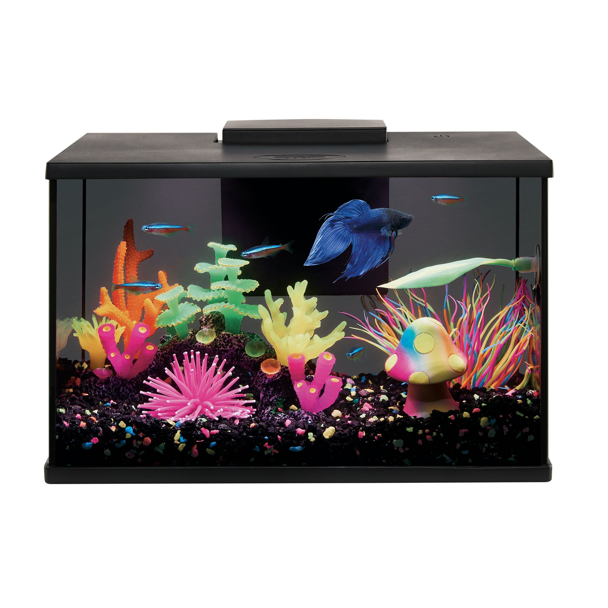 PONDON Fish Tank, 3 Gallon Glass Aquarium, 3 in 1 Fish Tank with Filter and  Light, Desktop Small Fish Tank for Betta Fish, Shrimp, Goldfish (Black