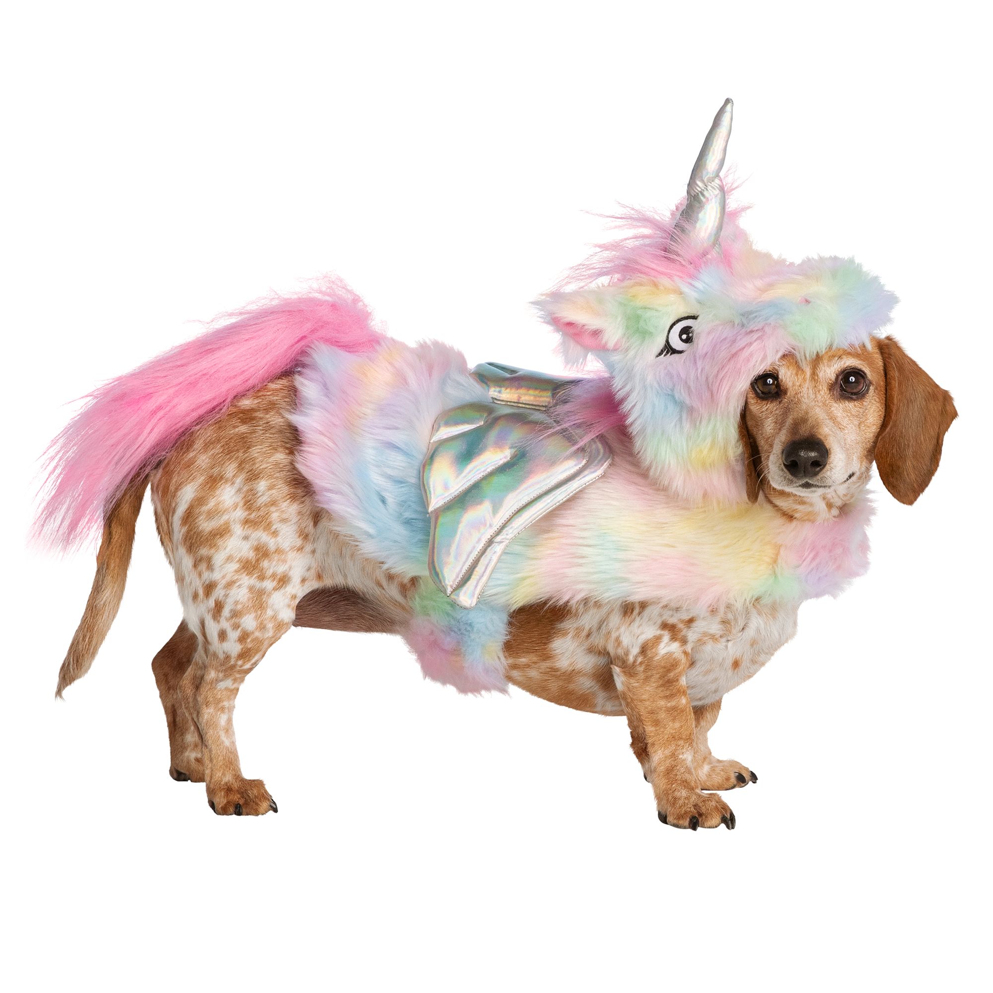 petsmart small animal costumes