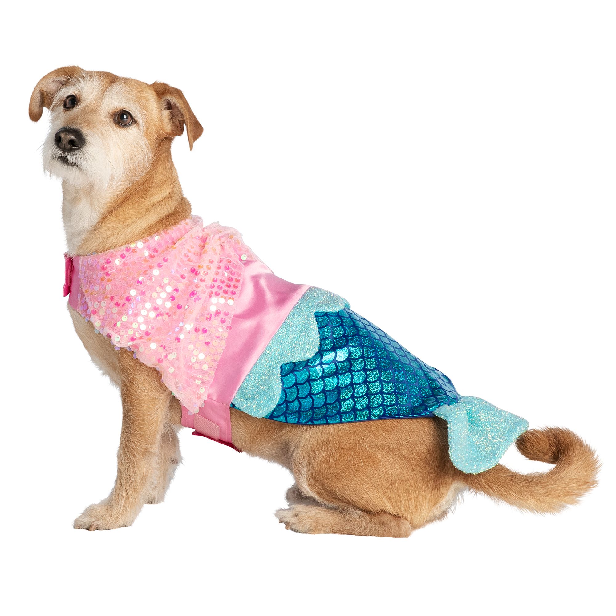 petsmart dog jackets