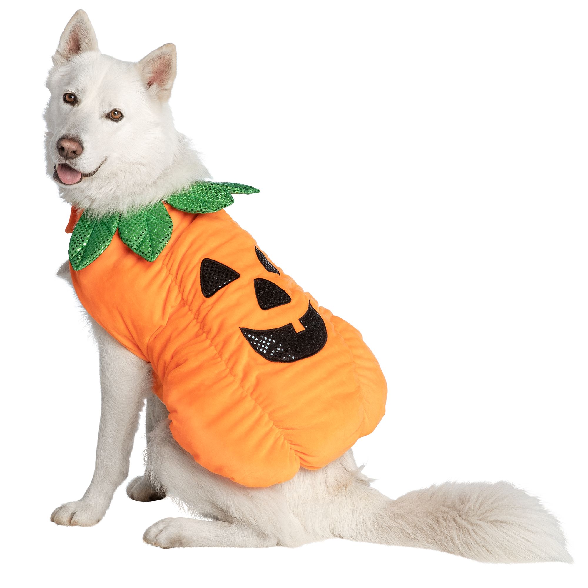 petsmart halloween dog toys