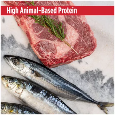 Product Nulo MedalSeries  All Life Stages Wet Cat Food - High-Protein, Silky Mousse, 2.8 Oz.