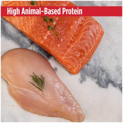 Nulo MedalSeries  All Life Stages Wet Cat Food - High-Protein, Silky Mousse, 2.8 Oz. - Image 4