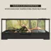 Thrive Easy Clean Reptile Terrarium image thumbnail 4