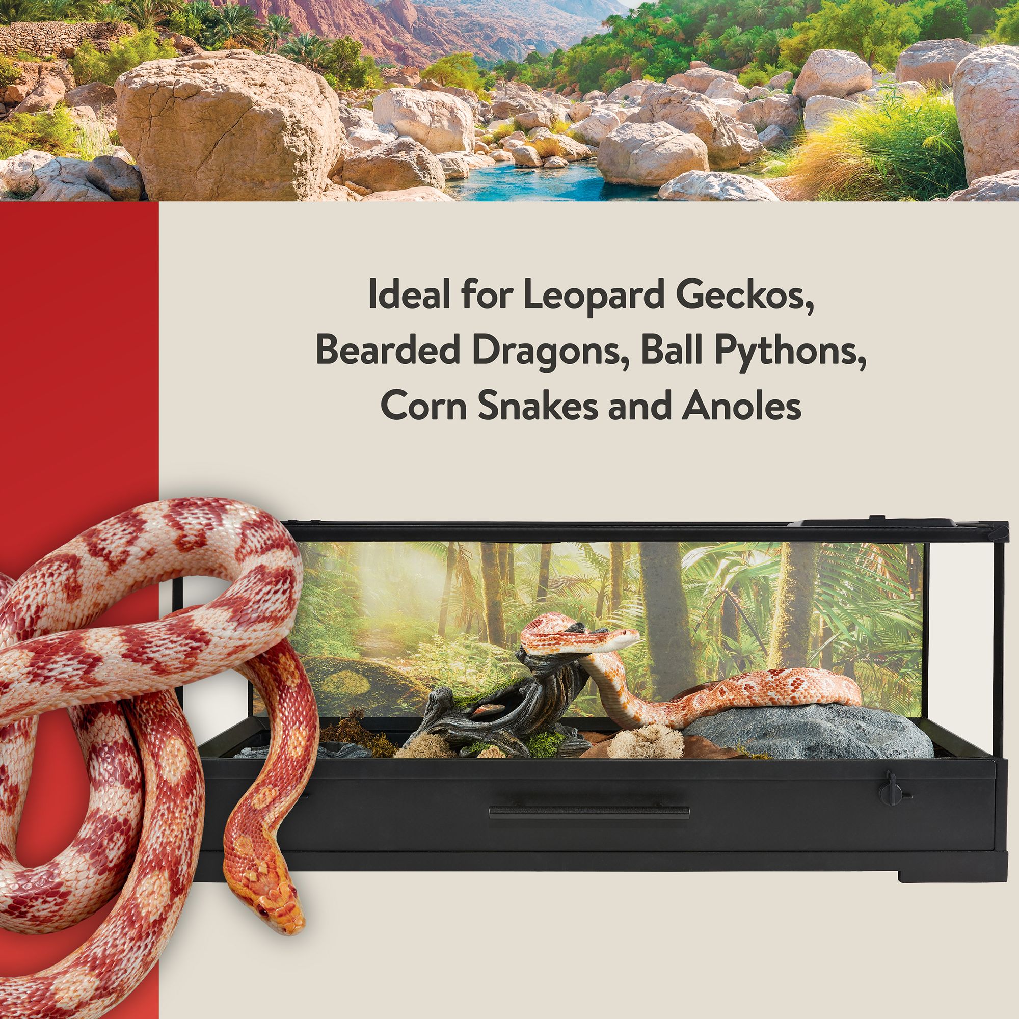 Thrive Easy Clean Reptile Terrarium - 20 gallon - 30x12x12 - thumbnail 5