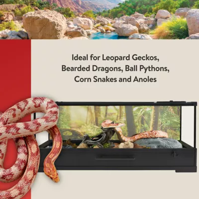 Product Thrive Easy Clean Reptile Terrarium