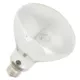 Product Thrive 3-in-1 Mercury Vapor Bulb