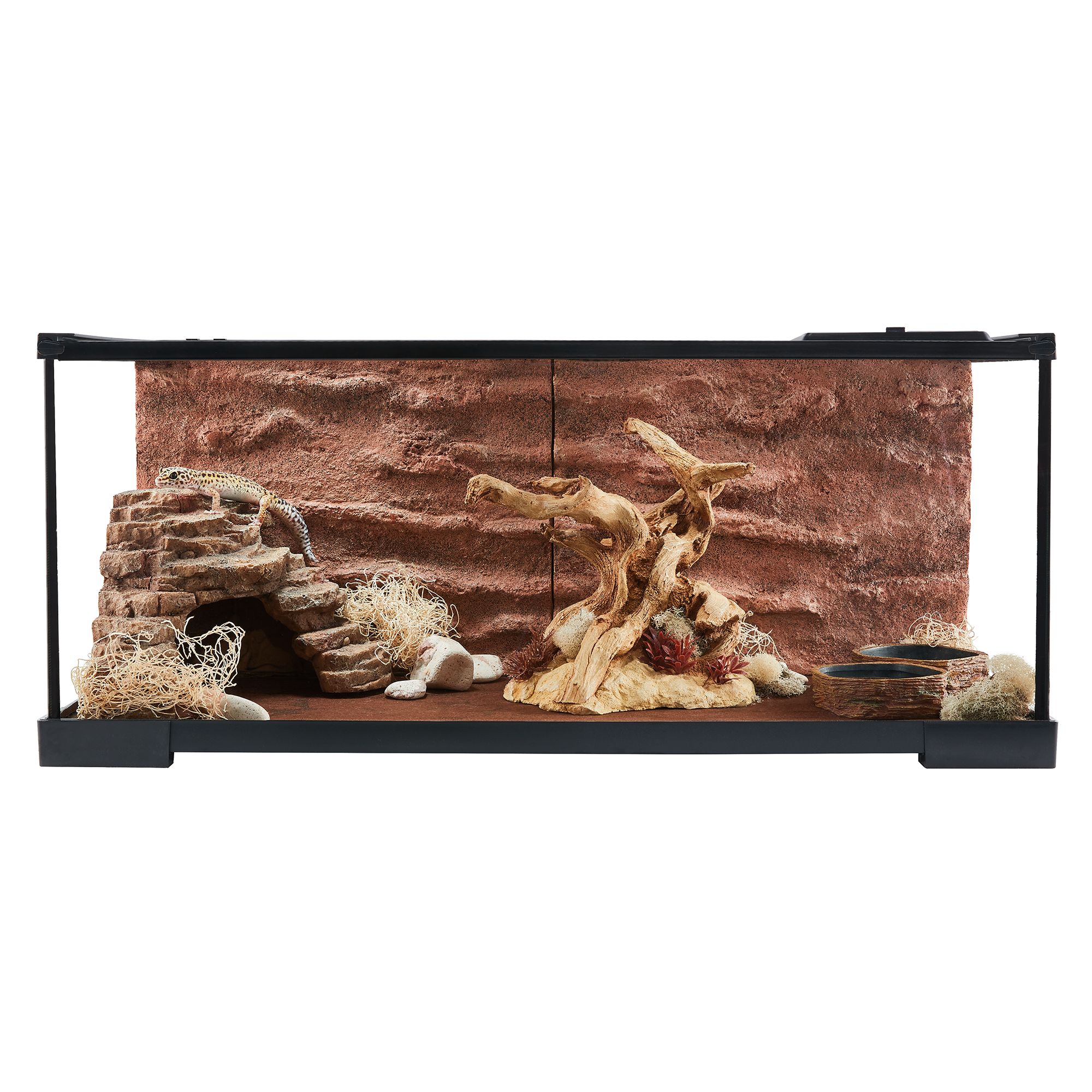 Thrive Desert 3d Sandstone Background Reptile Habitat Decor Petsmart