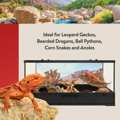 Petsmart reptiles best sale