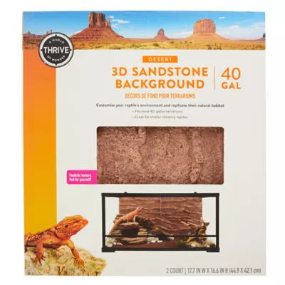 Product Thrive Desert 3D Sandstone Background