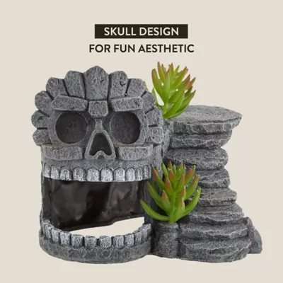 Product Thrive Skull Cave Reptile Decor