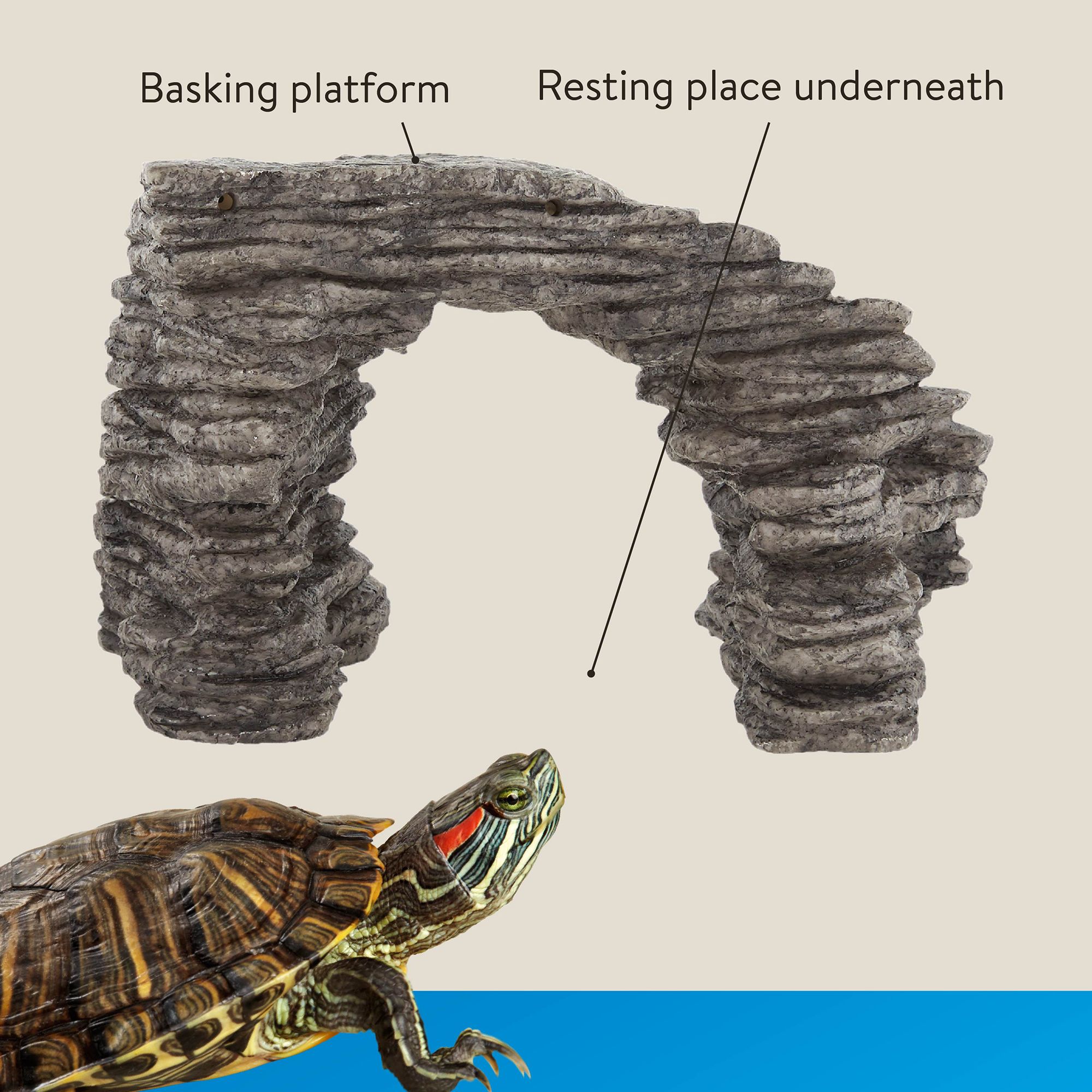 turtle basking platform petsmart