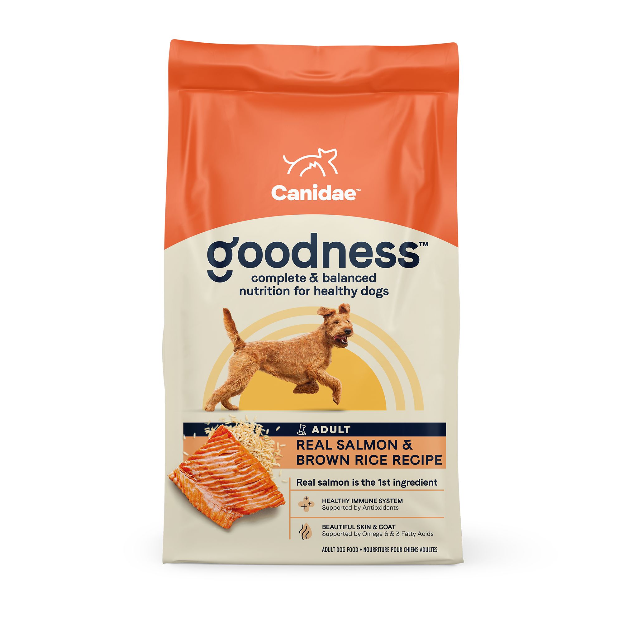 Canidae Goodness Adult Dry Dog Food Salmon Brown Rice dog