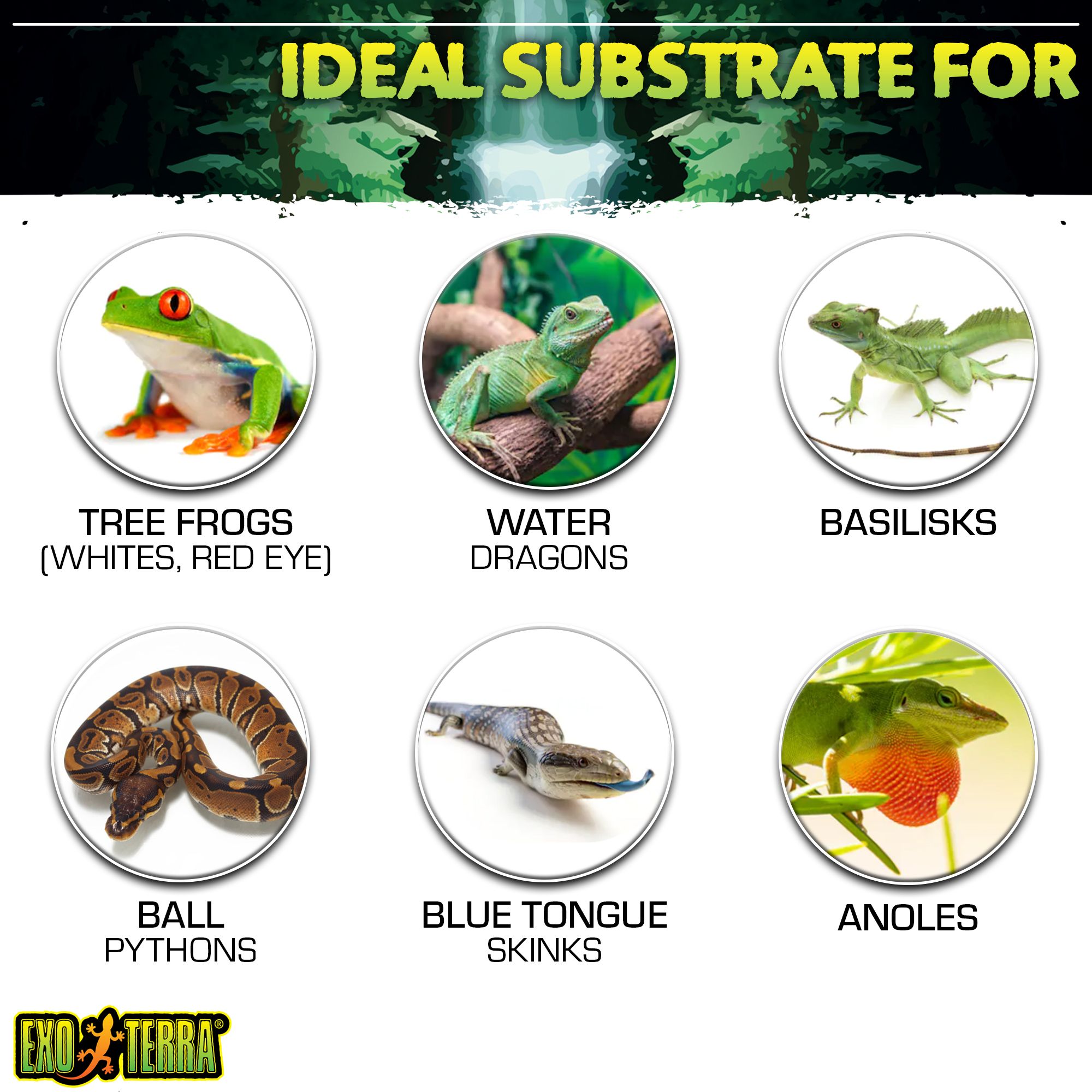 Exo-Terra® Coco Husk - Reptile Substrate & Bedding - 8 qt - thumbnail 5
