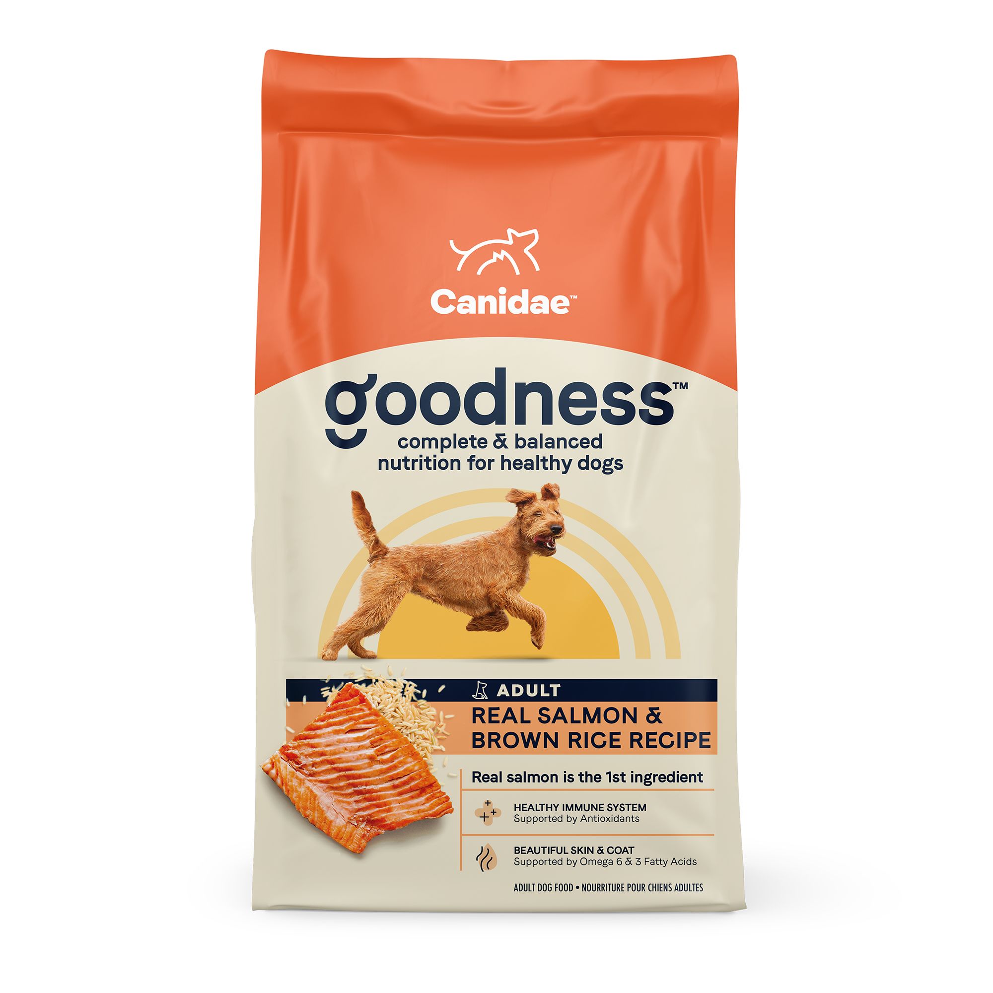 canidae salmon dog food