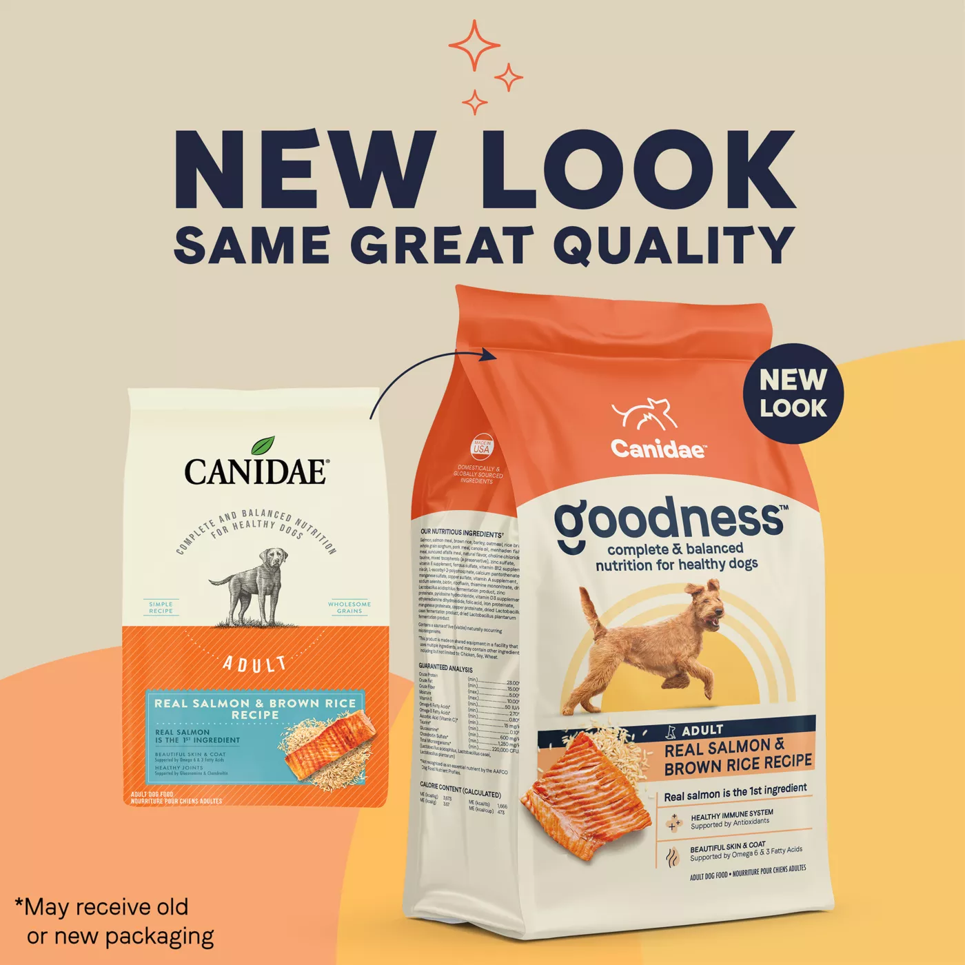 Canidae Goodness Adult Dry Dog Food Salmon Brown Rice