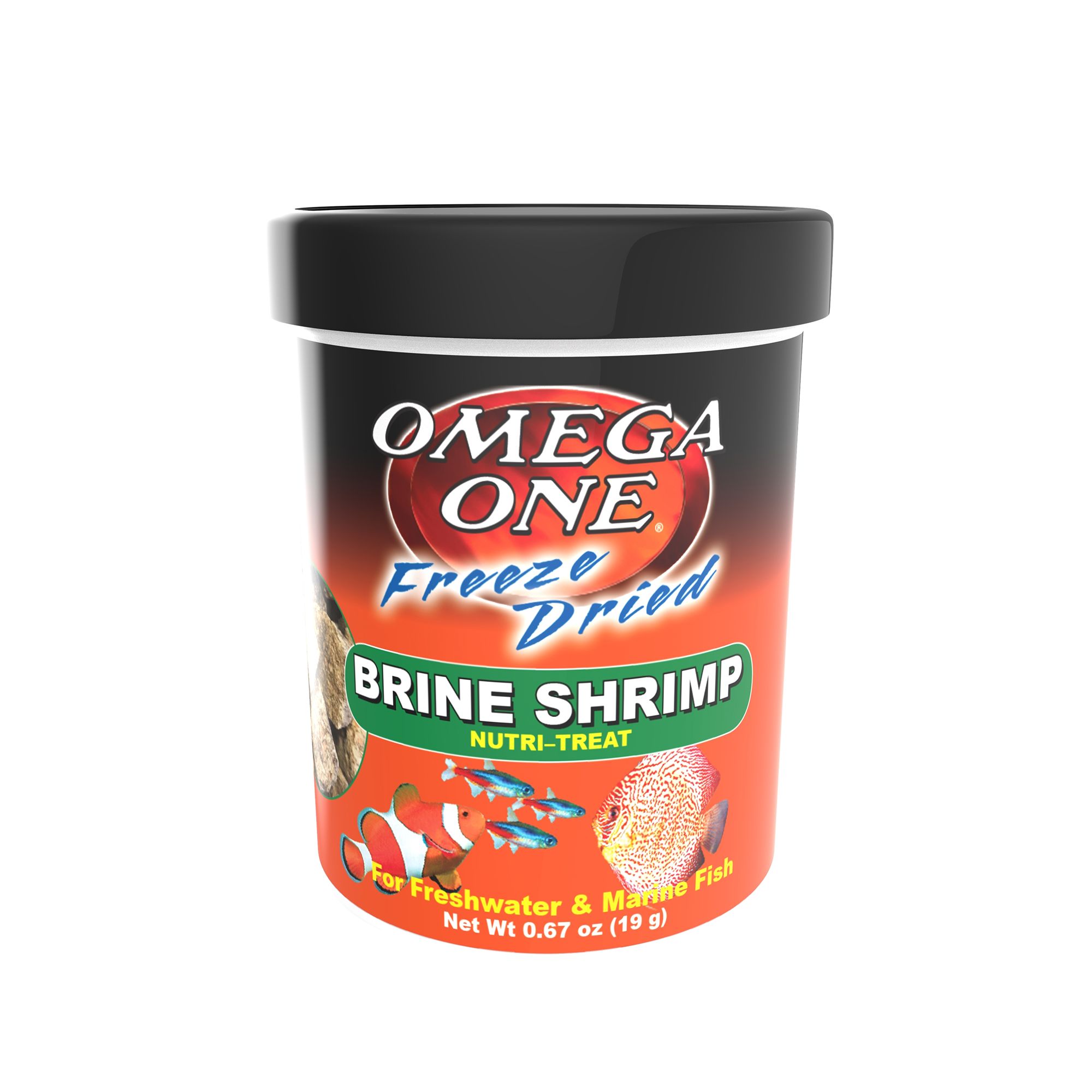 Baby brine 2025 shrimp petsmart