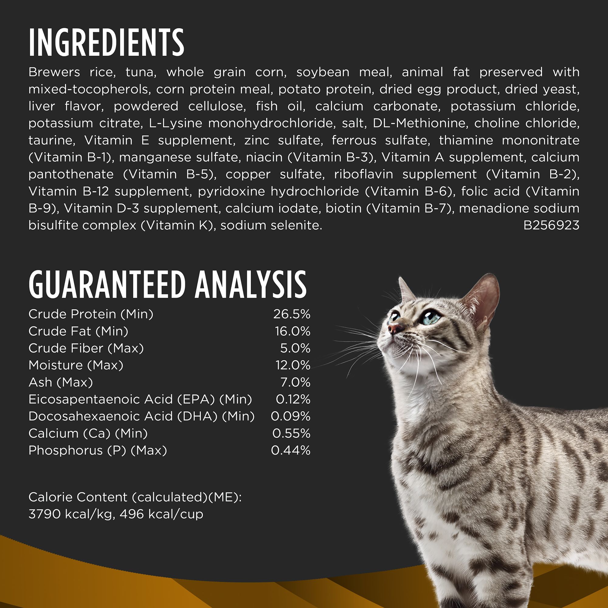 Purina nf cat hotsell