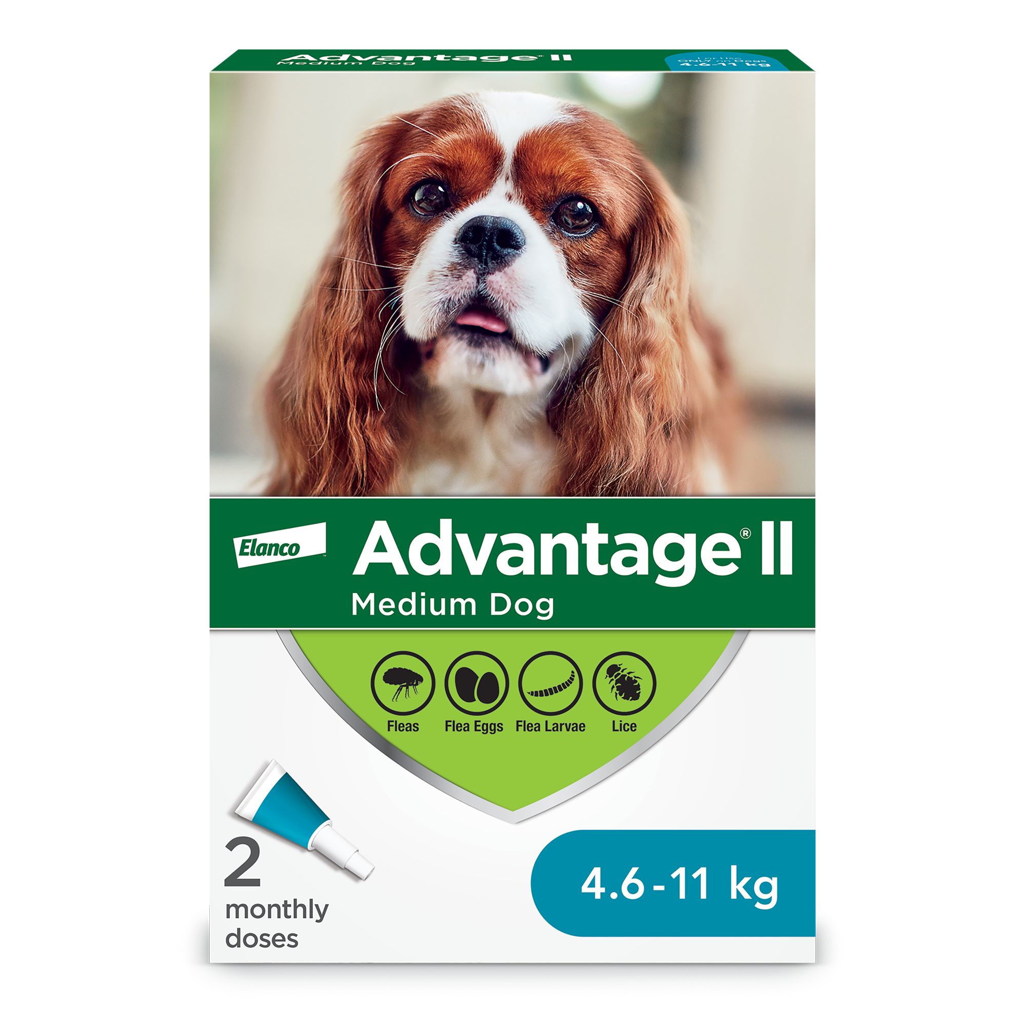 Advantage ii for puppies best sale