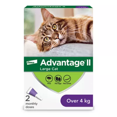 Advantage® II Large Cat Once-A-Month Topical Flea Treatment - Over 4 kg - Image 1