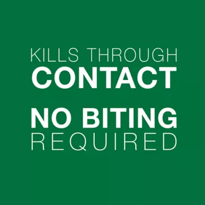 Advantage® II Large Cat Once-A-Month Topical Flea Treatment - Over 4 kg - Image 4