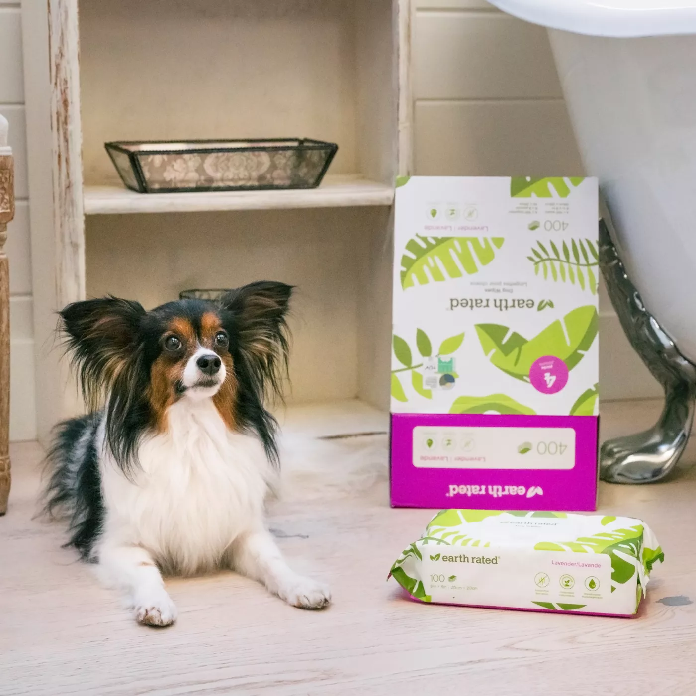 Dog bath wipes best sale