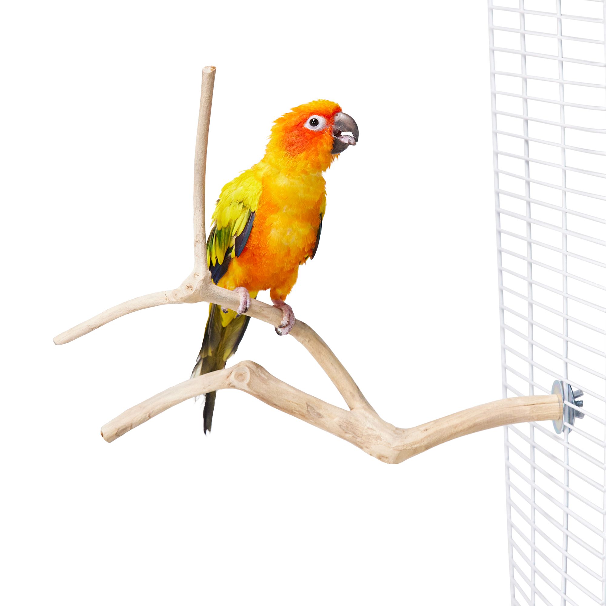 Bird Perches, Swings & Toys