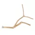 All Living Things® Java Wood Multi Bird Perch image thumbnail 1