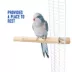 All Living Things® Java Wood Bird Perch image thumbnail 5