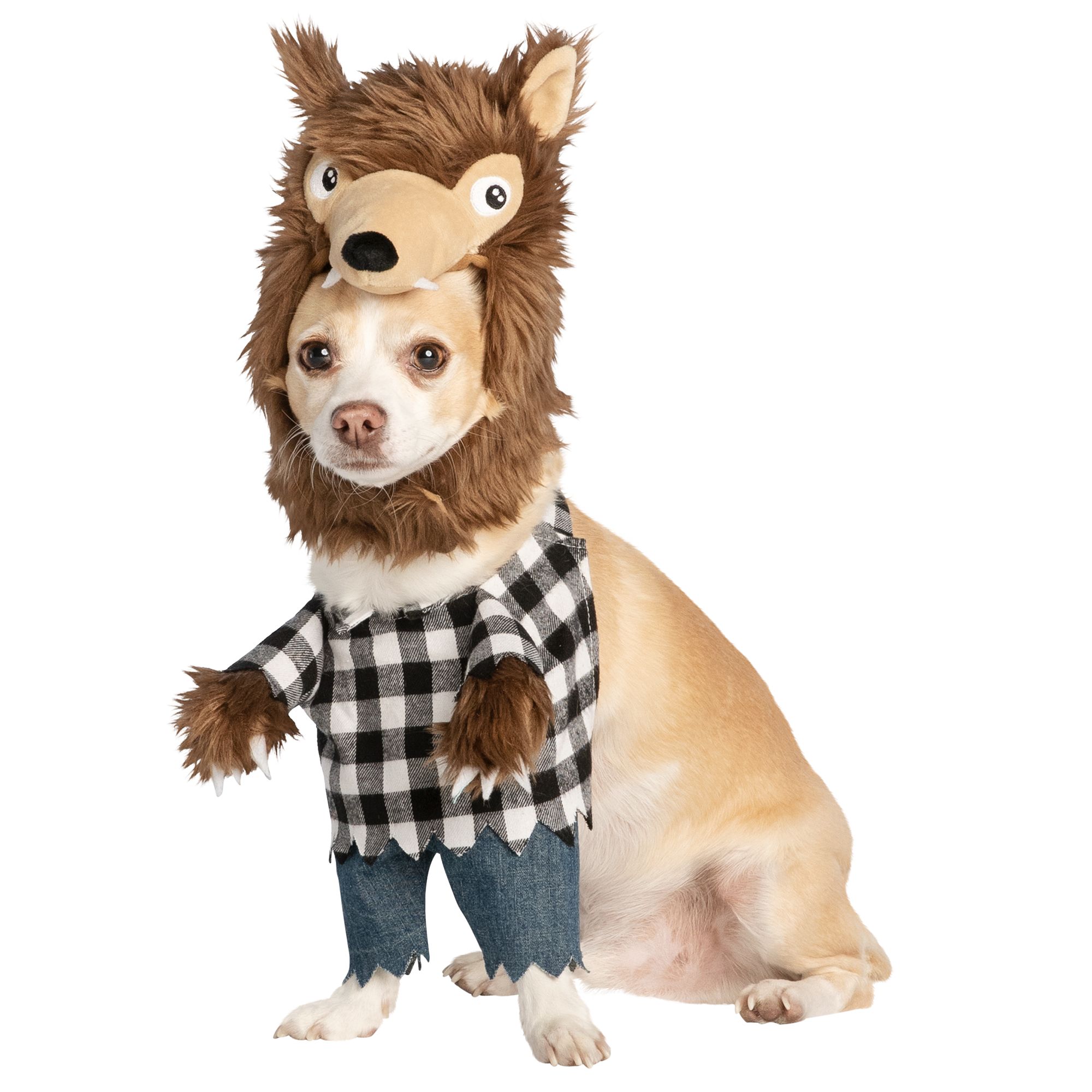 petsmart halloween dog toys