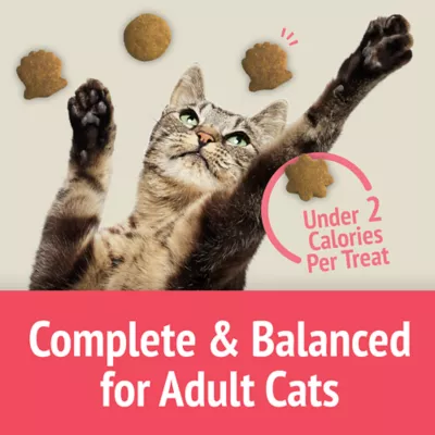 Product Friskies Party Mix Cat Treats Naturals Seaside Crunch with Real Fish, 454 g