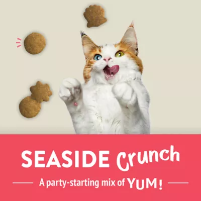 Product Friskies Party Mix Cat Treats Naturals Seaside Crunch with Real Fish, 454 g