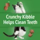 Product Purina® Friskies® Party Mix™ Gravy-liciuos Crunch Cat Treat - Turkey & Gravy