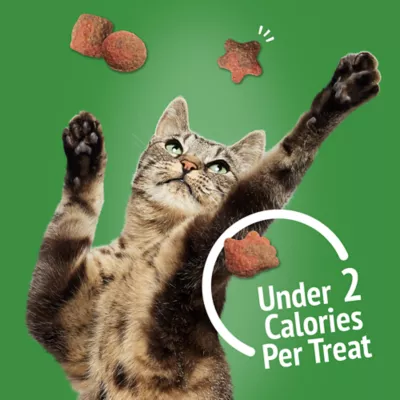 Product Purina® Friskies® Party Mix™ Gravy-liciuos Crunch Cat Treat - Turkey & Gravy