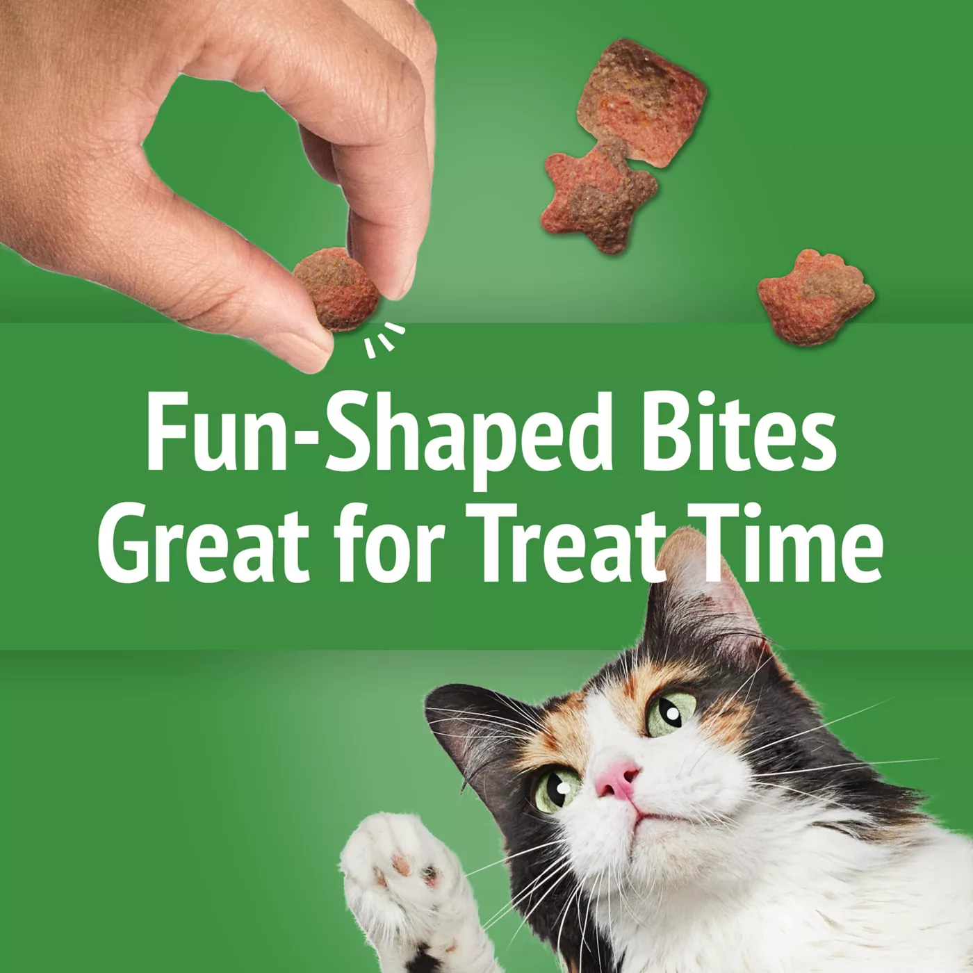 Purina Friskies Party Mix Gravy liciuos Crunch Cat Treat Turkey Gravy
