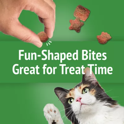 Product Purina® Friskies® Party Mix™ Gravy-liciuos Crunch Cat Treat - Turkey & Gravy