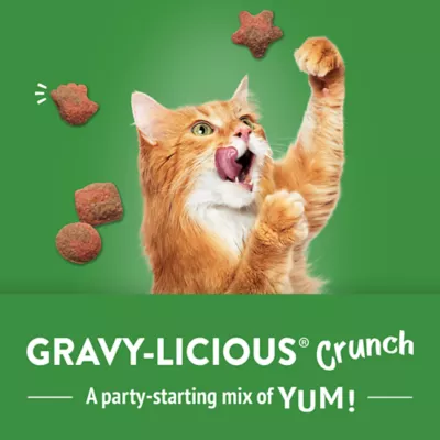 Product Purina® Friskies® Party Mix™ Gravy-liciuos Crunch Cat Treat - Turkey & Gravy