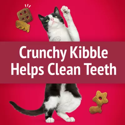 Product Purina® Friskies® Party Mix™ Mixed Grill Crunch Cat Treat - Chicken