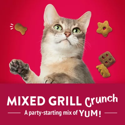 Product Purina® Friskies® Party Mix™ Mixed Grill Crunch Cat Treat - Chicken