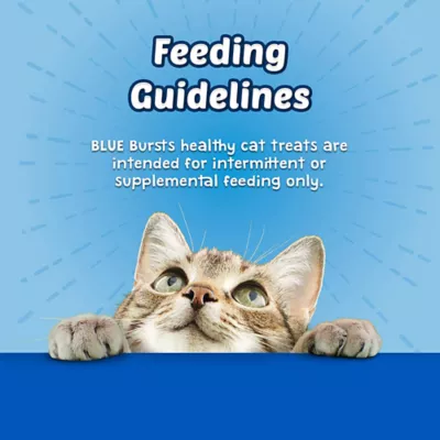 Product Blue Buffalo® Bursts  All Life Stages Treat Cat Treats - Natural, Chicken