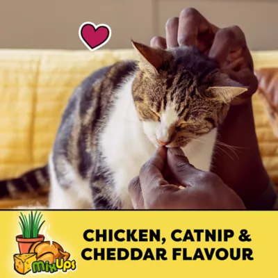 Product Temptations Mix-Ups Adult Cat Treats - Chicken, Cheddar & Catnip Flavour