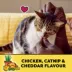 Temptations Mix-Ups Adult Cat Treats - Chicken, Cheddar & Catnip Flavour image thumbnail 3