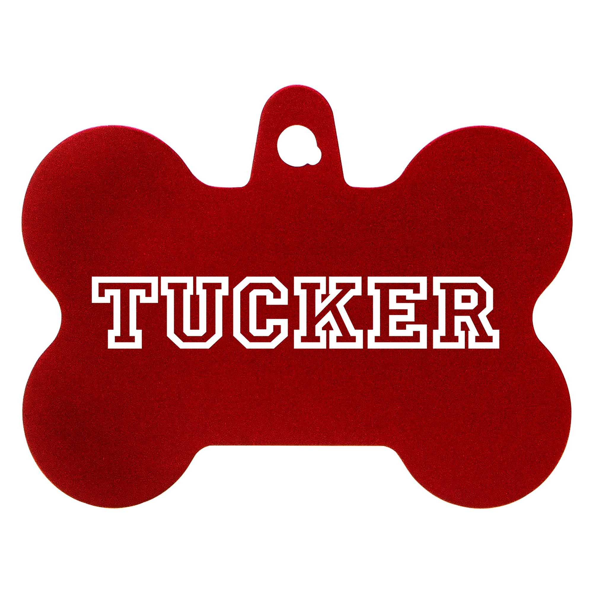 TagWorks Elegance Collection Chrome Bone Personalized Small Pet ID Tag | PetSmart