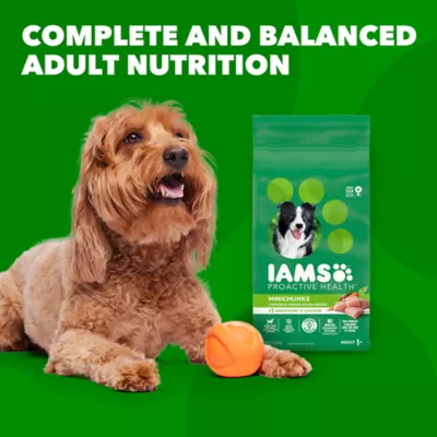 Product IAMS™ Proactive Health Adult Dry Dog Food - High-Protein, Mini Chunks, Chicken & Whole Grains