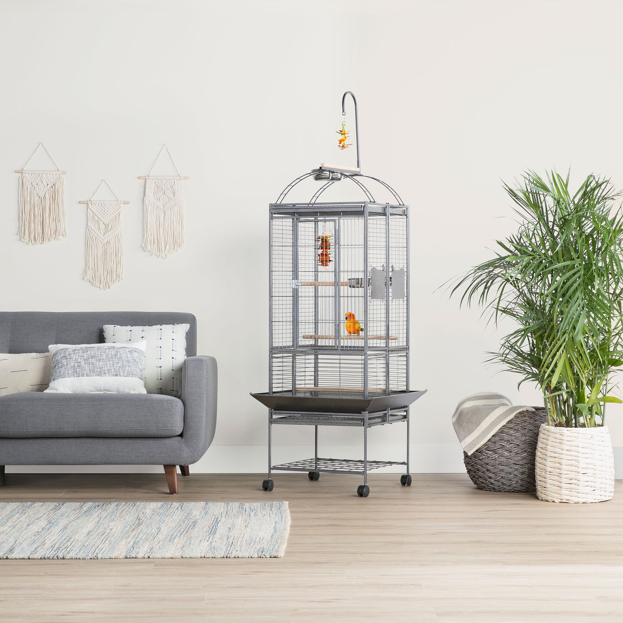 petsmart bird playground