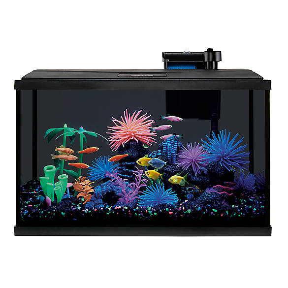 Top Fin Led Black Glass Aquarium, Lava Lamp Fish Tank Petsmart