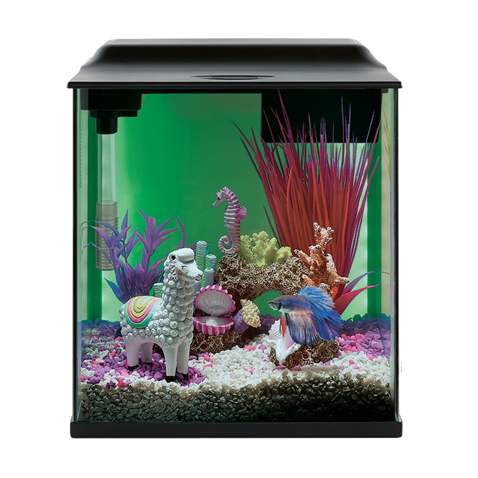 Top Fin Backlight Aquarium fish Starter Kits PetSmart