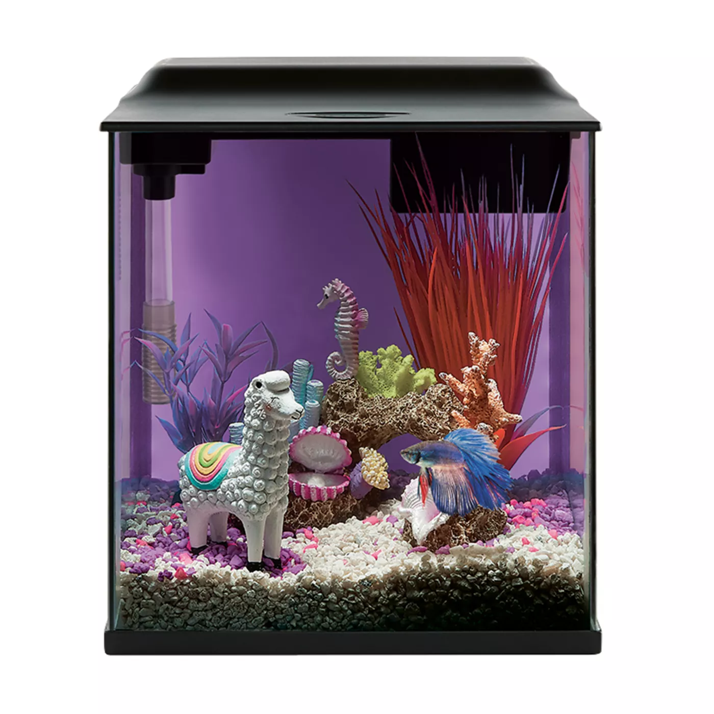 Aquarium products best sale