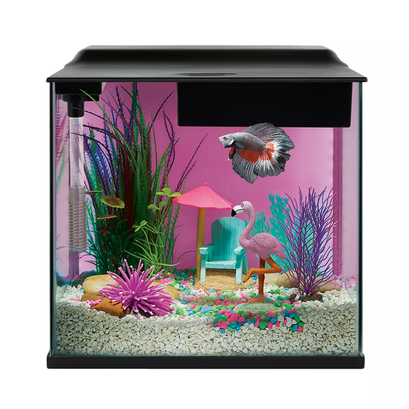Clearance aquarium supplies sale