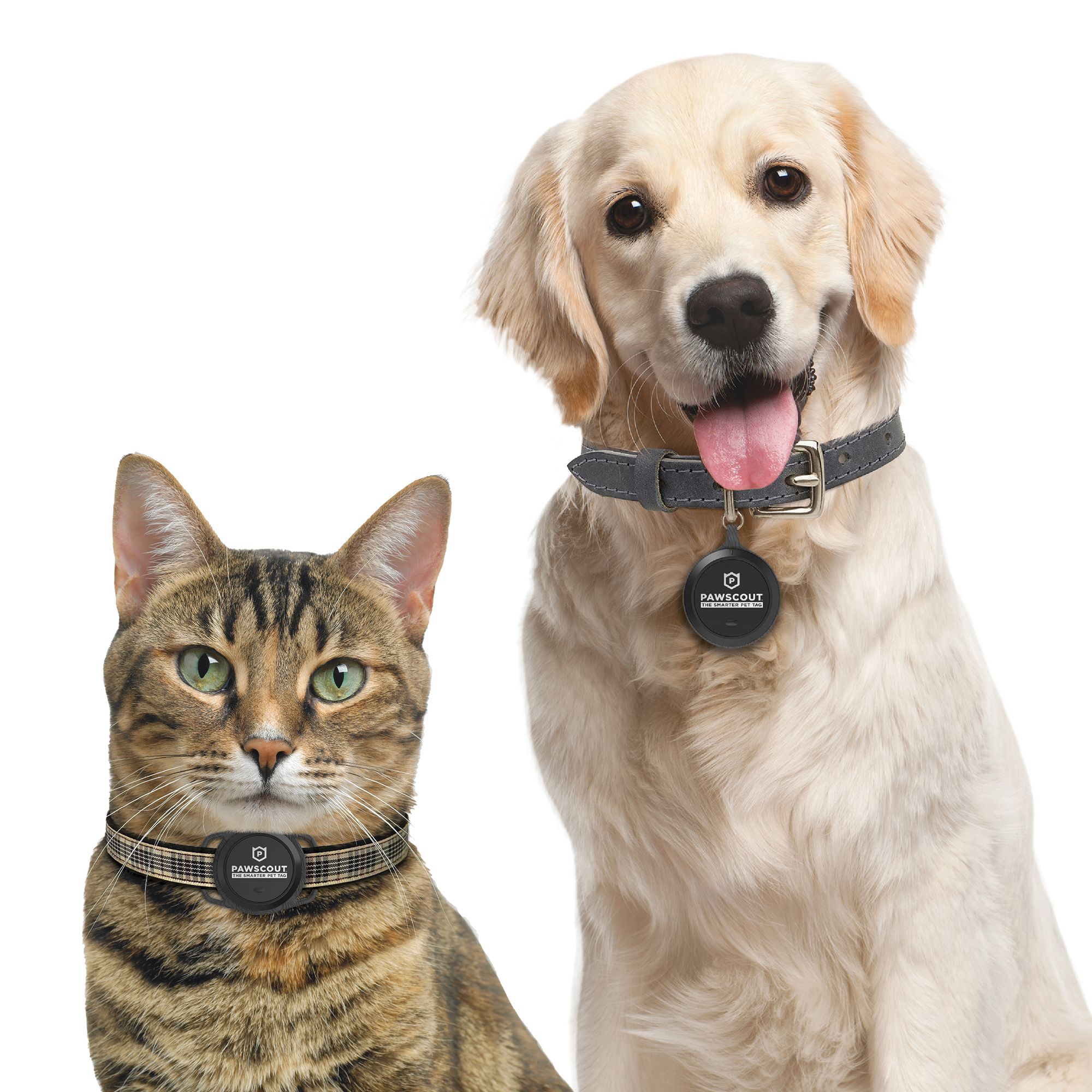 pawscout pet tracker